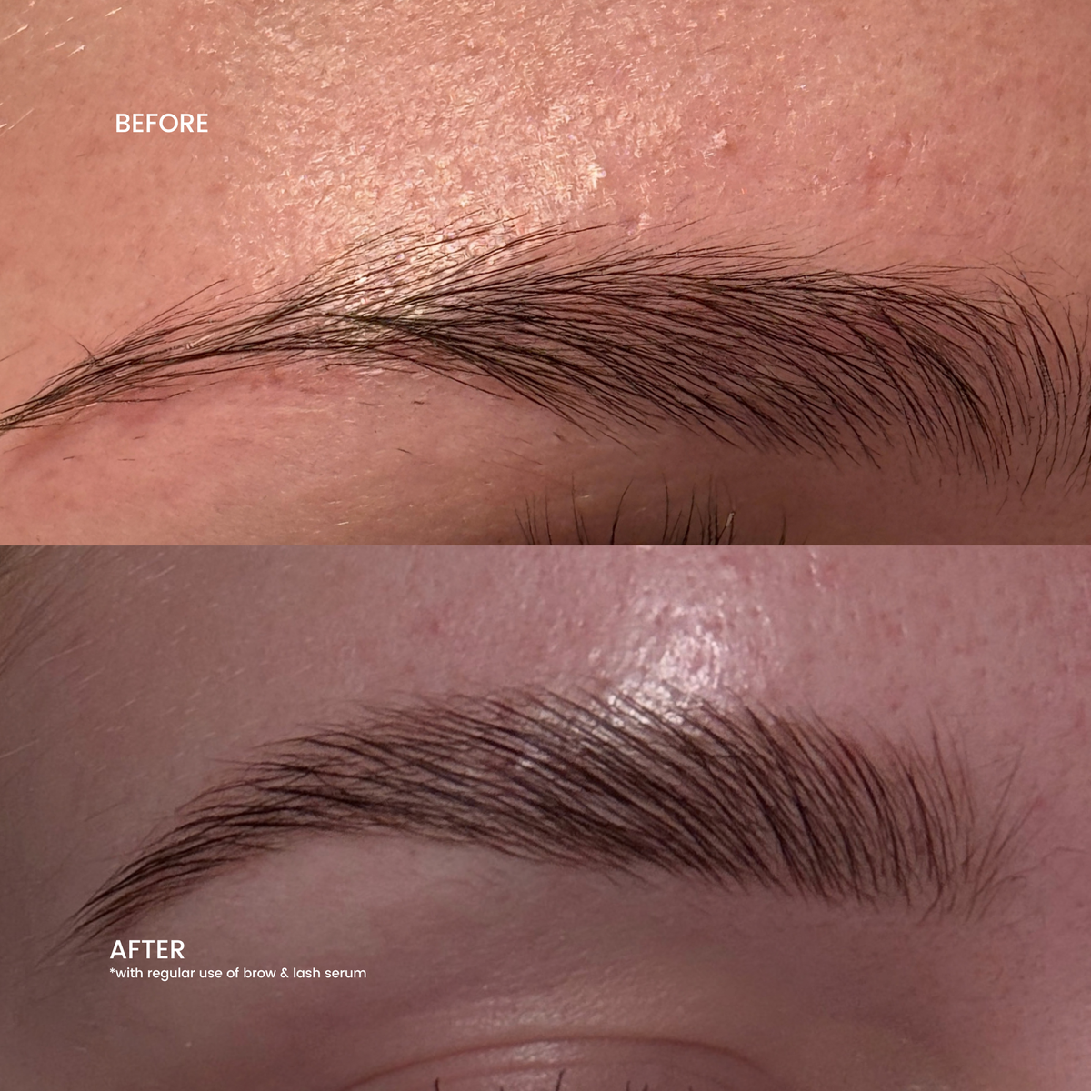 Brow & Lash Serum - New formula
